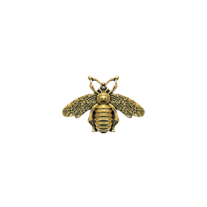 Broche Ímã Bee